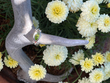 Load image into Gallery viewer, Split band Ring Ai114