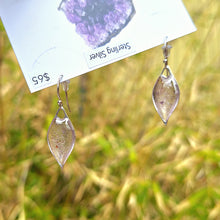 Load image into Gallery viewer, Amethyst Earrings