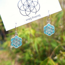 Load image into Gallery viewer, Turquoise Earrings