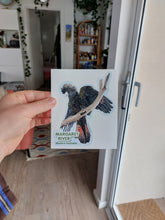 Load image into Gallery viewer, Sasha Cameron Art Stickers