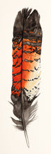 Load image into Gallery viewer, Sasha Cameron Art Stickers