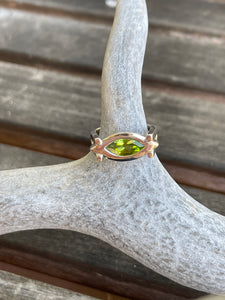 Split band Ring Ai114