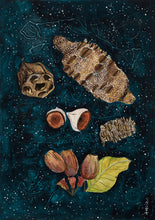 Load image into Gallery viewer, Sasha Cameron Art Gift Tags