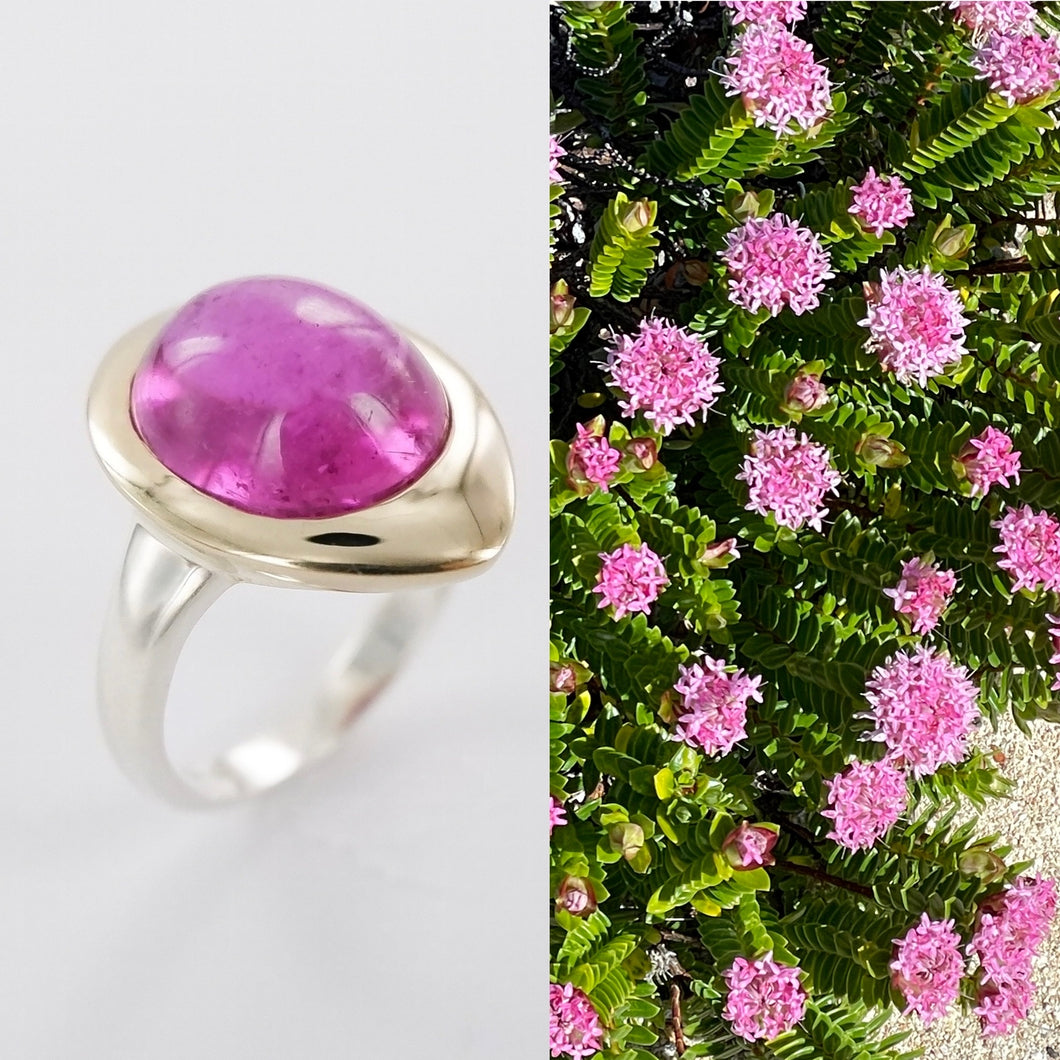 Seed ring with Rubellite