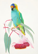 Load image into Gallery viewer, Sasha Cameron Art Prints