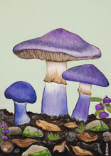 Load image into Gallery viewer, Sasha Cameron Art Prints