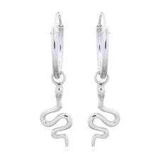 Load image into Gallery viewer, Andi&amp;Co Sleeper Earrings Ai184SL
