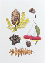 Load image into Gallery viewer, Sasha Cameron Art Prints