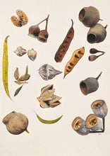 Load image into Gallery viewer, Sasha Cameron Art Prints