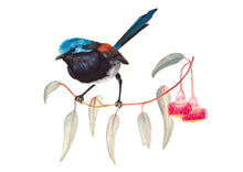 Load image into Gallery viewer, Sasha Cameron Art Prints