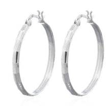 Load image into Gallery viewer, Andi&amp;Co Hoop Earrings Ai184H