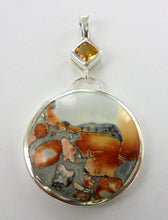 Load image into Gallery viewer, Naturescape pendants Ai63