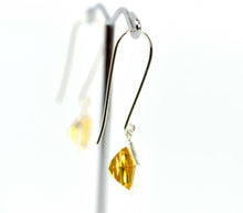 Load image into Gallery viewer, Crystal House Earrings Ai179
