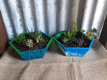 Load image into Gallery viewer, Pot Plant Hex Large