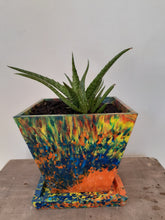 Load image into Gallery viewer, Pot Plant and Saucer Large