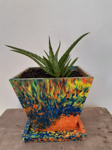 Pot Plant and Saucer Large