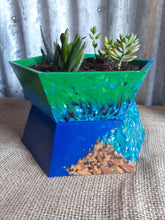 Load image into Gallery viewer, Pot Plant Hex Large