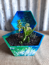 Load image into Gallery viewer, Pot Plant Hex Large