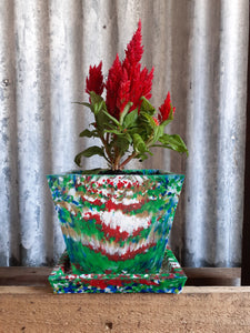 Plant and Saucer Small