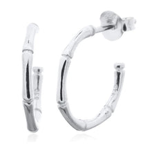 Load image into Gallery viewer, Andi&amp;Co Hoop Earrings Ai184H