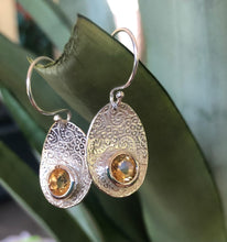 Load image into Gallery viewer, Petal Earrings Ai174