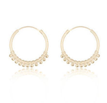 Load image into Gallery viewer, Andi&amp;Co Hoop Earrings Ai184H