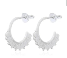 Load image into Gallery viewer, Andi&amp;Co Hoop Earrings Ai184H