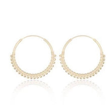 Load image into Gallery viewer, Andi&amp;Co Hoop Earrings Ai184H