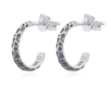 Load image into Gallery viewer, Andi&amp;Co Hoop &amp; Sleeper Earrings Ai184H