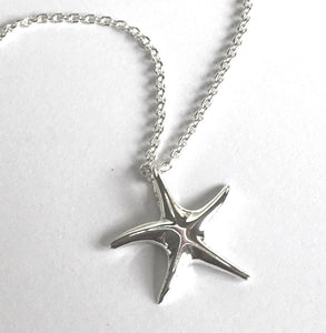 Starfish Pendant Ai135