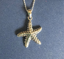 Load image into Gallery viewer, Starfish Pendant Ai135