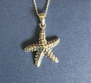 Starfish Pendant Ai135