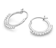 Load image into Gallery viewer, Andi&amp;Co Hoop Earrings Ai184H