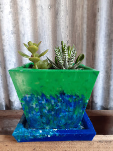 Plant and Saucer Small